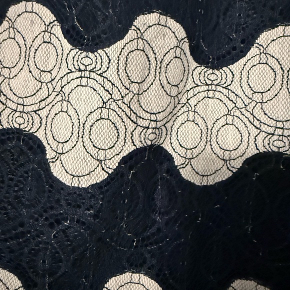 Banana Republic | Navy and White Lace Striped Blouse Top | Size XS - Picture 6 of 7